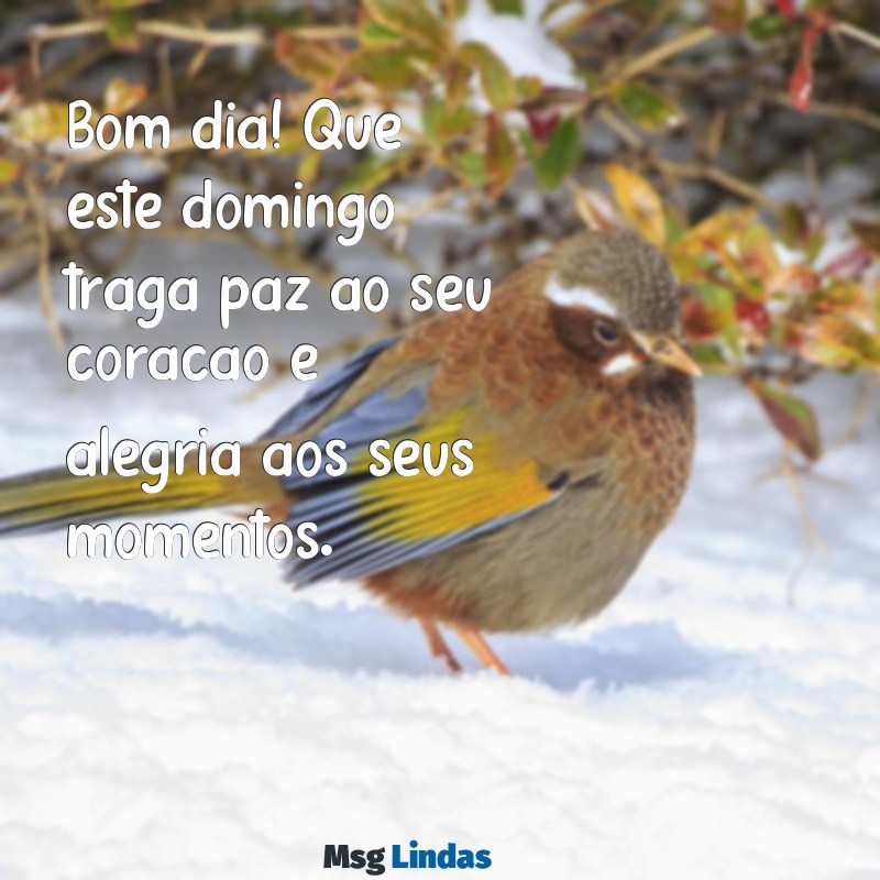 mensagens de bom dia no domingo Bom dia! Que este domingo traga paz ao seu coração e alegria aos seus momentos.