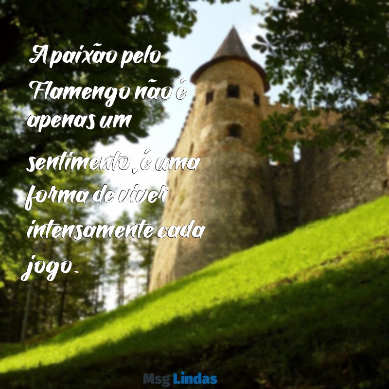 mensagens flamengo A paixão pelo Flamengo não é apenas um sentimento, é uma forma de viver intensamente cada jogo.