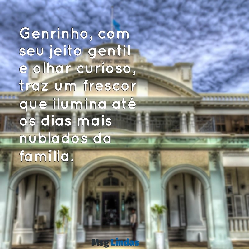 genrinho Genrinho, com seu jeito gentil e olhar curioso, traz um frescor que ilumina até os dias mais nublados da família.