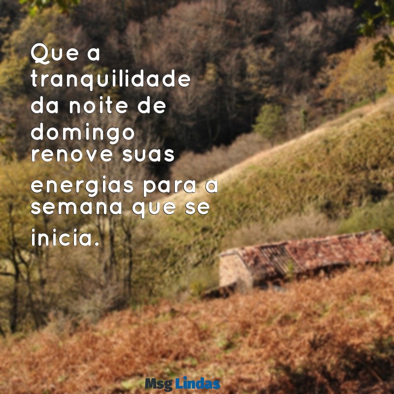 boa noite de domingo e boa semana Que a tranquilidade da noite de domingo renove suas energias para a semana que se inicia.