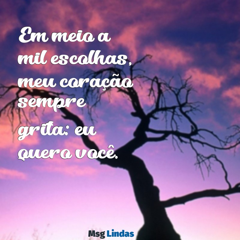 eu quero você Em meio a mil escolhas, meu coração sempre grita: eu quero você.