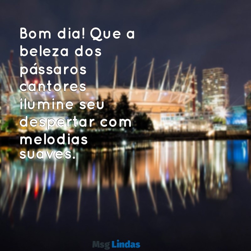 bom dia com animais lindos Bom dia! Que a beleza dos pássaros cantores ilumine seu despertar com melodias suaves.