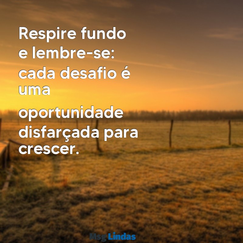 mensagens para pessoa estressada Respire fundo e lembre-se: cada desafio é uma oportunidade disfarçada para crescer.