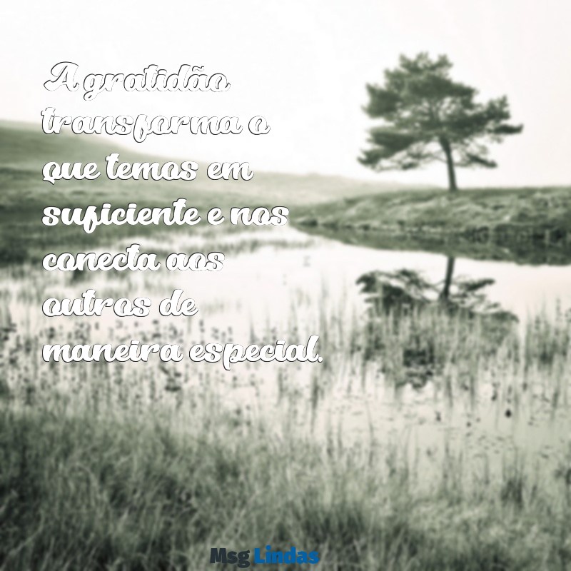 mensagens de gratificação A gratidão transforma o que temos em suficiente e nos conecta aos outros de maneira especial.