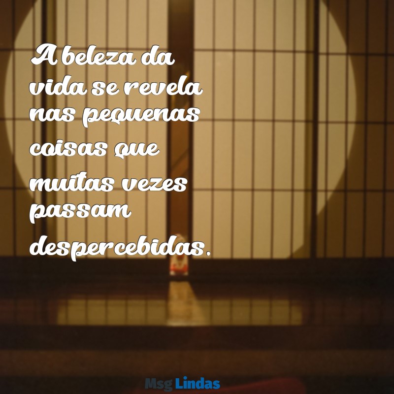 frases maravilhosas A beleza da vida se revela nas pequenas coisas que muitas vezes passam despercebidas.