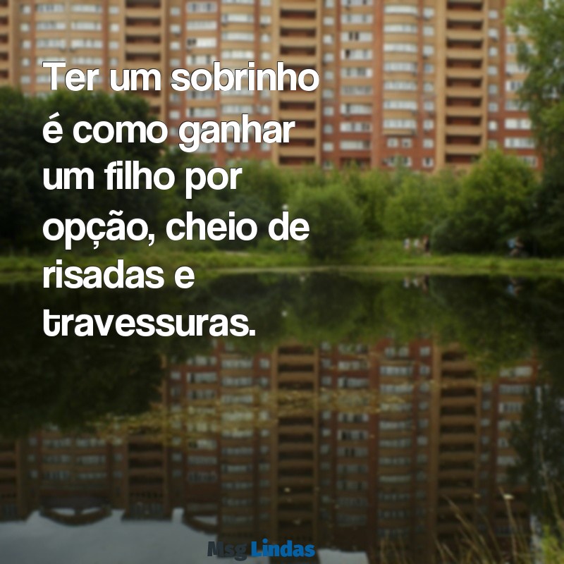 frases sobrinho Ter um sobrinho é como ganhar um filho por opção, cheio de risadas e travessuras.