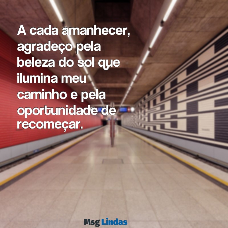 carta de gratidão pela vida A cada amanhecer, agradeço pela beleza do sol que ilumina meu caminho e pela oportunidade de recomeçar.