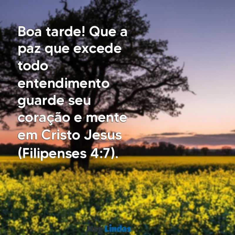 mensagens de boa tarde versículo bíblico Boa tarde! Que a paz que excede todo entendimento guarde seu coração e mente em Cristo Jesus (Filipenses 4:7).