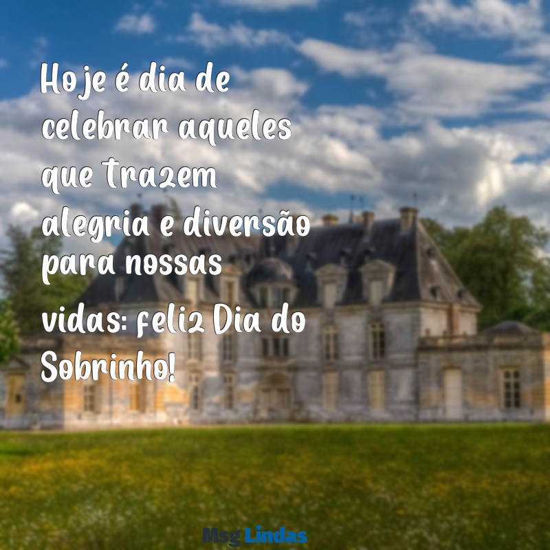 dia do sobrinho Hoje é dia de celebrar aqueles que trazem alegria e diversão para nossas vidas: feliz Dia do Sobrinho!