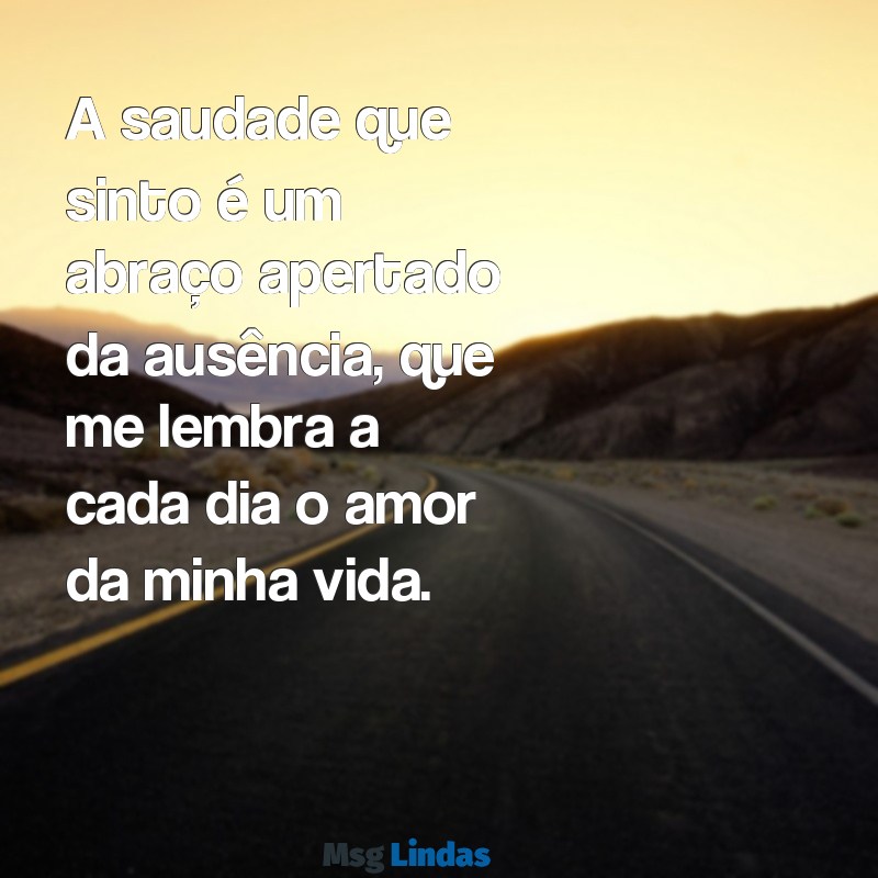 luto amor da minha vida A saudade que sinto é um abraço apertado da ausência, que me lembra a cada dia o amor da minha vida.