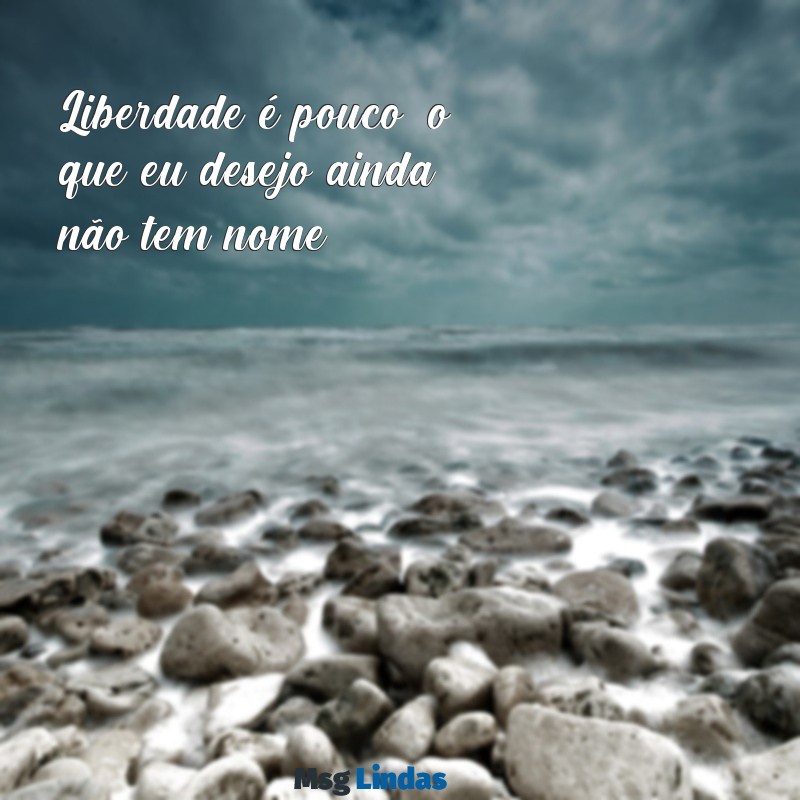 mensagens de clarice lispector Liberdade é pouco; o que eu desejo ainda não tem nome.