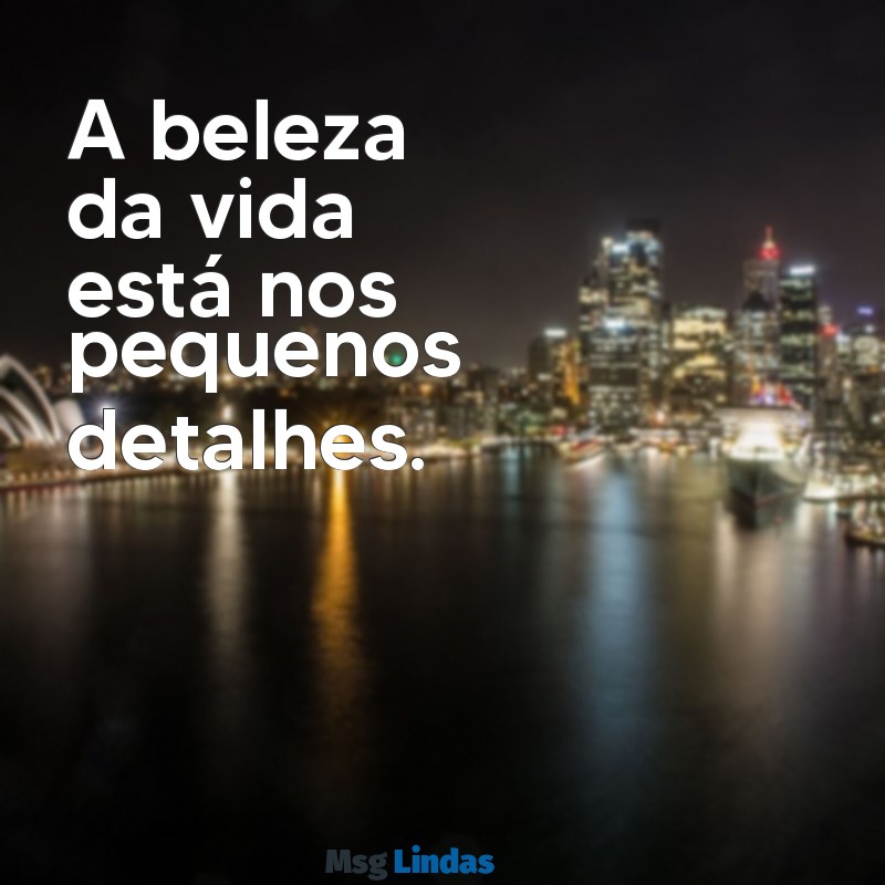 frases bonitas pequenas A beleza da vida está nos pequenos detalhes.