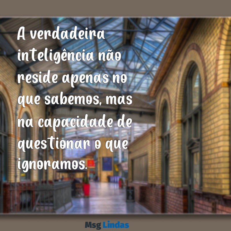 frases inteligente A verdadeira inteligência não reside apenas no que sabemos, mas na capacidade de questionar o que ignoramos.