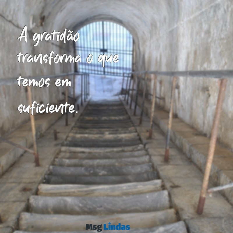 frases curtas de gratidão A gratidão transforma o que temos em suficiente.