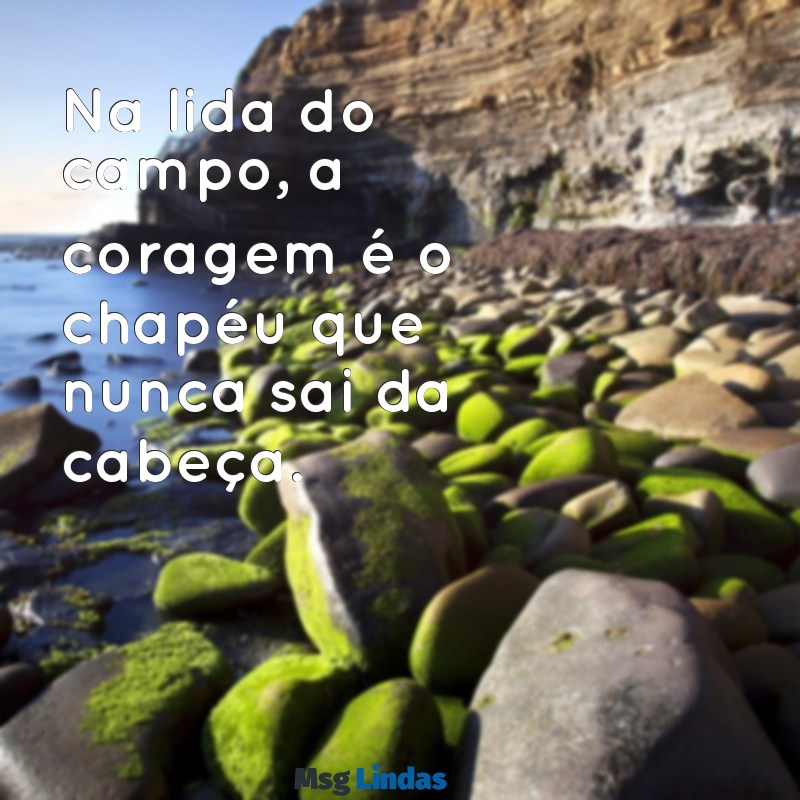 frases de vaqueiro Na lida do campo, a coragem é o chapéu que nunca sai da cabeça.