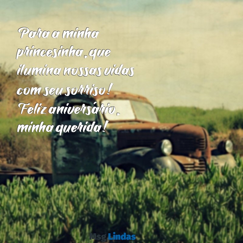 mensagens de aniversário para princesa da tia Para a minha princesinha, que ilumina nossas vidas com seu sorriso! Feliz aniversário, minha querida!