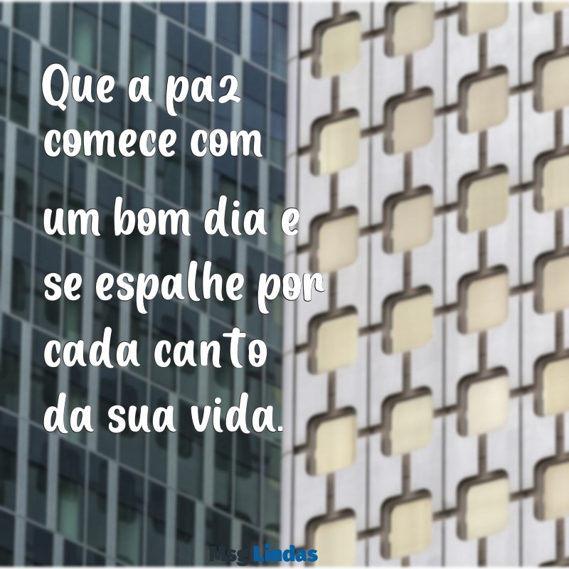 paz bom dia Que a paz comece com um bom dia e se espalhe por cada canto da sua vida.