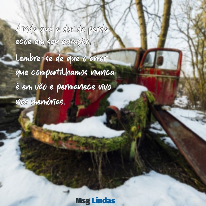 mensagens bíblica para quem perdeu um ente querido Ainda que a dor da perda ecoe em seu coração, lembre-se de que o amor que compartilhamos nunca é em vão e permanece vivo nas memórias.