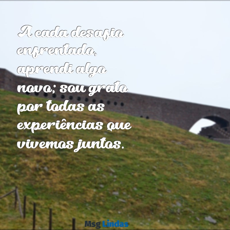 mensagens de despedida de trabalho e agradecimento A cada desafio enfrentado, aprendi algo novo; sou grato por todas as experiências que vivemos juntos.