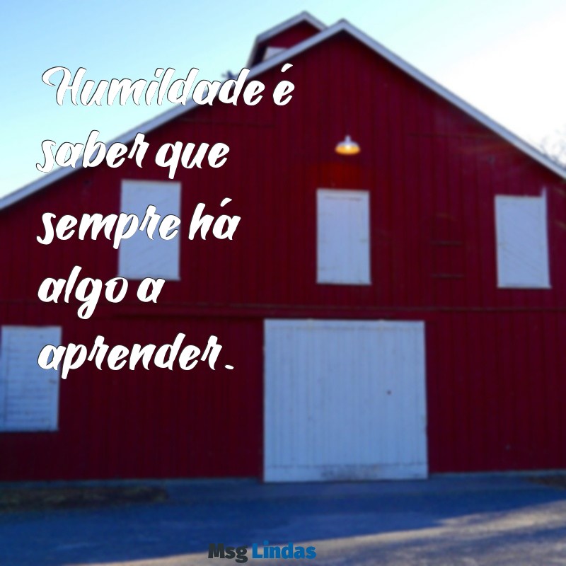 humildade frases curtas Humildade é saber que sempre há algo a aprender.