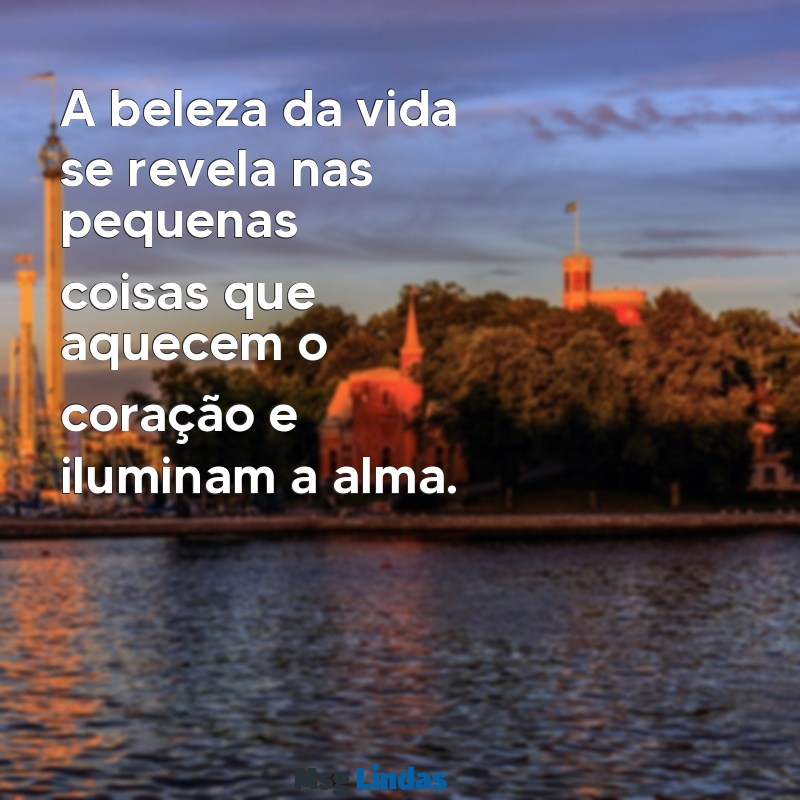 frases bomitas A beleza da vida se revela nas pequenas coisas que aquecem o coração e iluminam a alma.