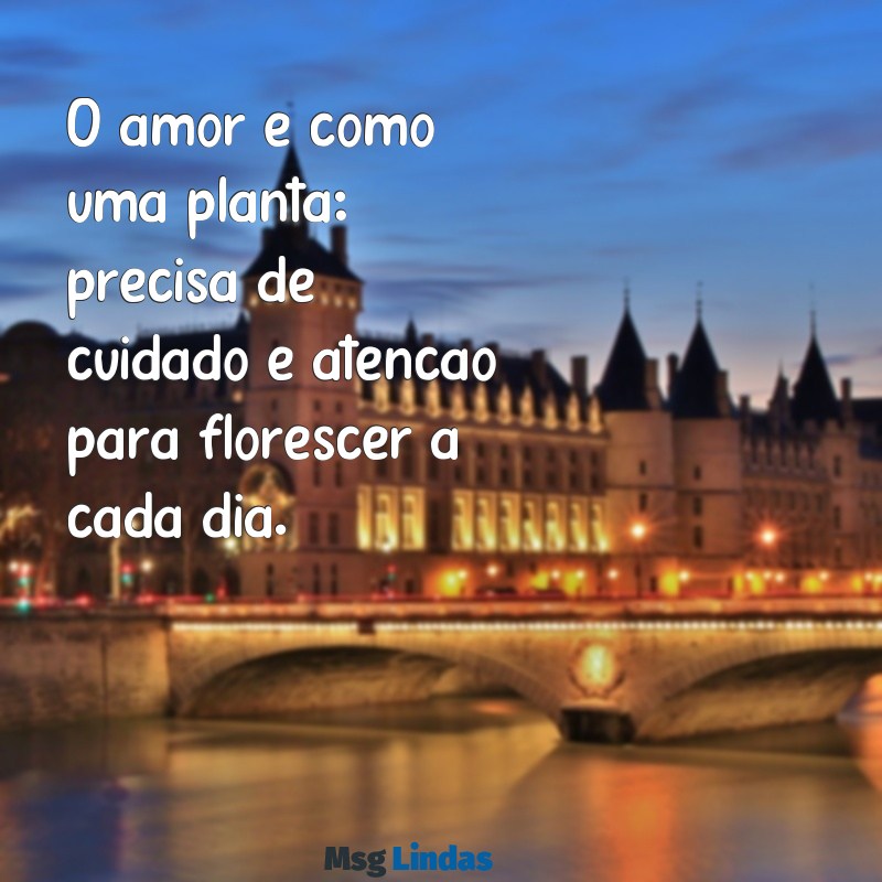 mensagens para relacionamento O amor é como uma planta: precisa de cuidado e atenção para florescer a cada dia.