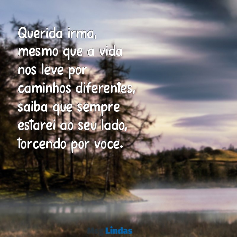 carta para minha irmã mais nova Querida irmã, mesmo que a vida nos leve por caminhos diferentes, saiba que sempre estarei ao seu lado, torcendo por você.