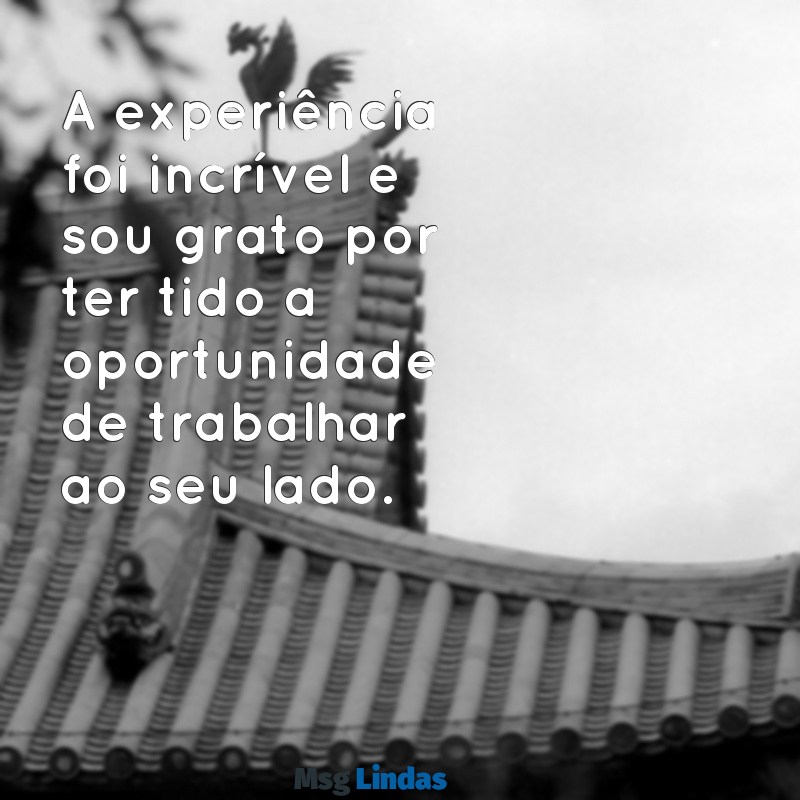 foi muito bom trabalhar com você A experiência foi incrível e sou grato por ter tido a oportunidade de trabalhar ao seu lado.