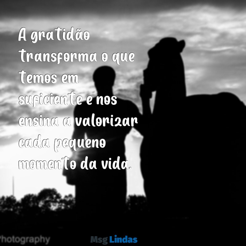 uma mensagens de gratidão A gratidão transforma o que temos em suficiente e nos ensina a valorizar cada pequeno momento da vida.