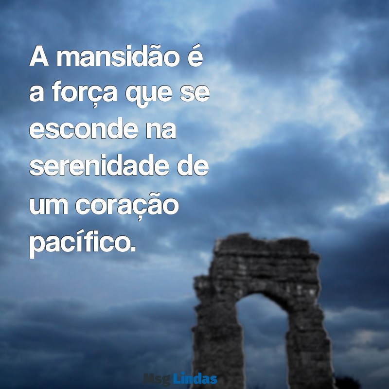 mensagens sobre mansidão A mansidão é a força que se esconde na serenidade de um coração pacífico.