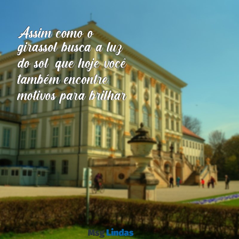 girassol mensagens do dia Assim como o girassol busca a luz do sol, que hoje você também encontre motivos para brilhar.