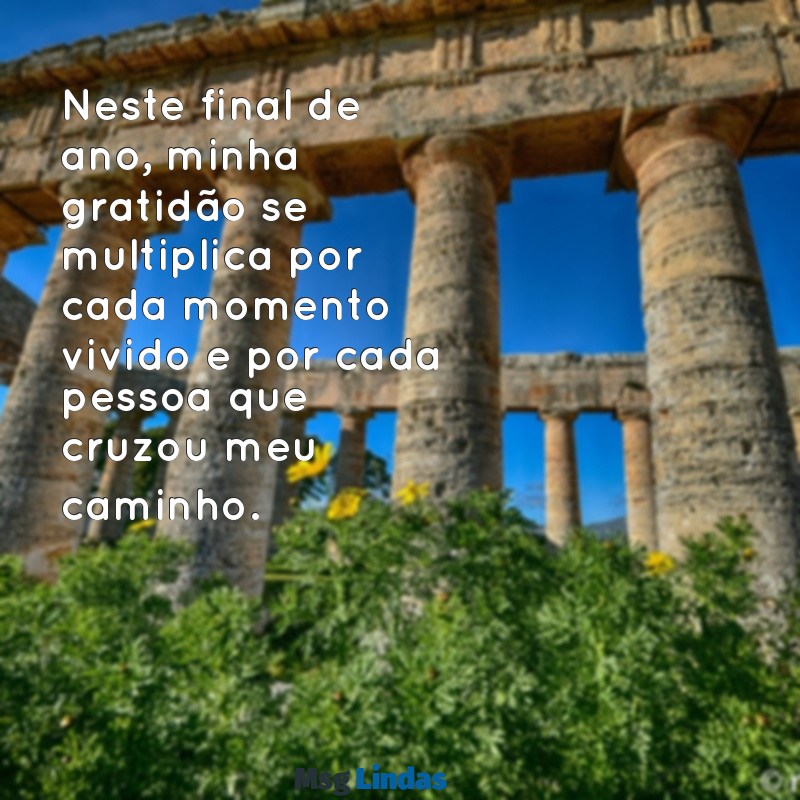 mensagens de agradecimento final de ano texto Neste final de ano, minha gratidão se multiplica por cada momento vivido e por cada pessoa que cruzou meu caminho.