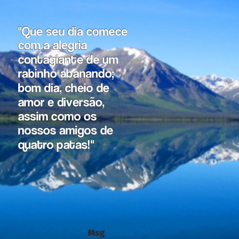 mensagens de bom dia com cachorros "Que seu dia comece com a alegria contagiante de um rabinho abanando; bom dia, cheio de amor e diversão, assim como os nossos amigos de quatro patas!"