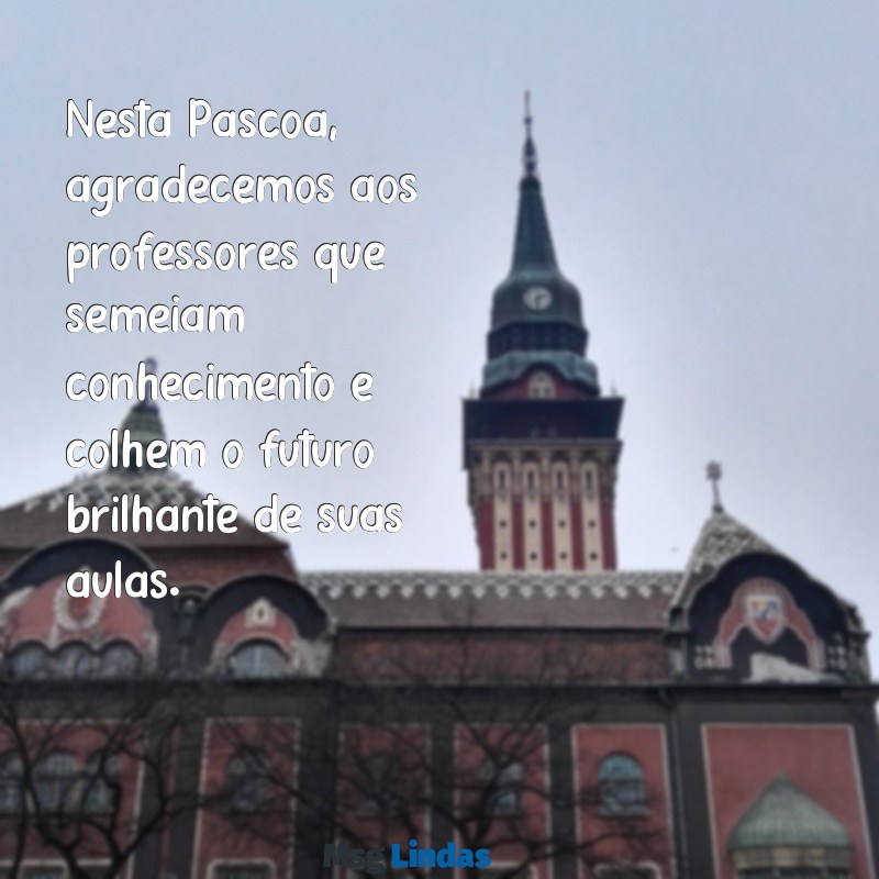 mensagens de pascoa para professores Nesta Páscoa, agradecemos aos professores que semeiam conhecimento e colhem o futuro brilhante de suas aulas.