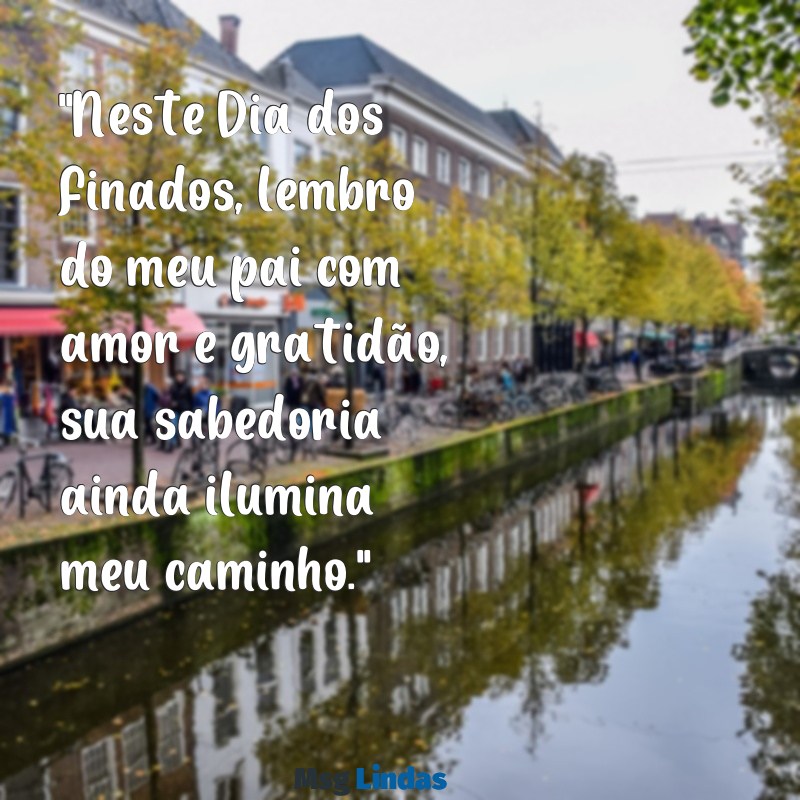 mensagens dia dos finados para pai "Neste Dia dos Finados, lembro do meu pai com amor e gratidão, sua sabedoria ainda ilumina meu caminho."