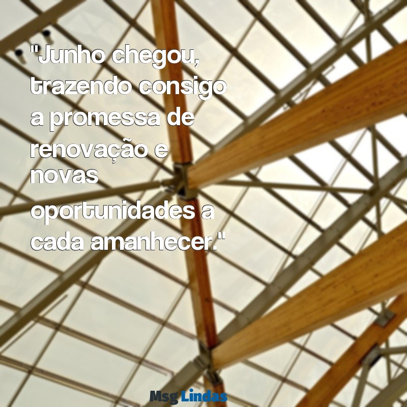 mensagens para o mês de junho que se inicia "Junho chegou, trazendo consigo a promessa de renovação e novas oportunidades a cada amanhecer."