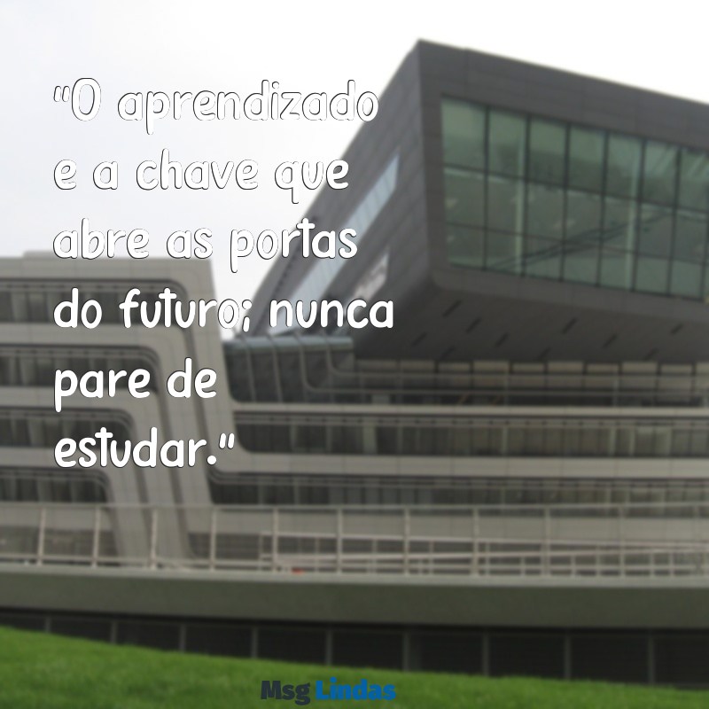 mensagens de estudante "O aprendizado é a chave que abre as portas do futuro; nunca pare de estudar."