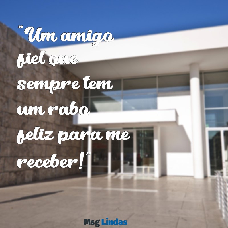 frases para foto com cachorro "Um amigo fiel que sempre tem um rabo feliz para me receber!"