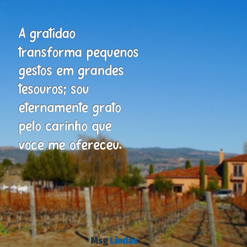 mensagens de agradecimento pelo carinho A gratidão transforma pequenos gestos em grandes tesouros; sou eternamente grato pelo carinho que você me ofereceu.