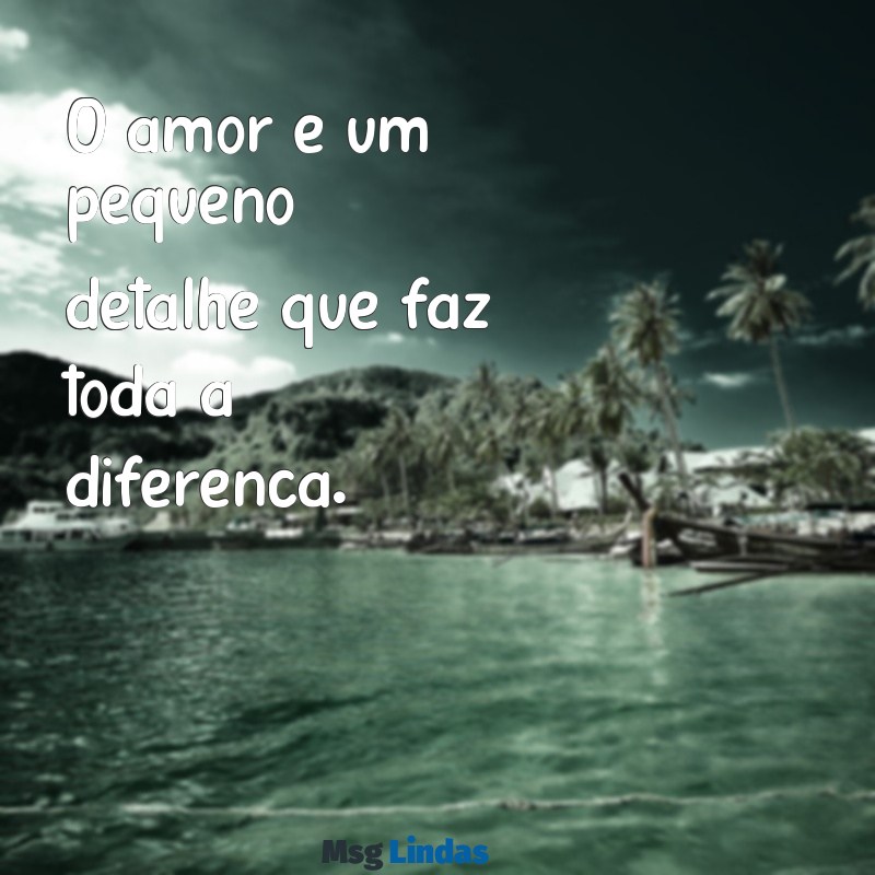 frases pequena de amor O amor é um pequeno detalhe que faz toda a diferença.