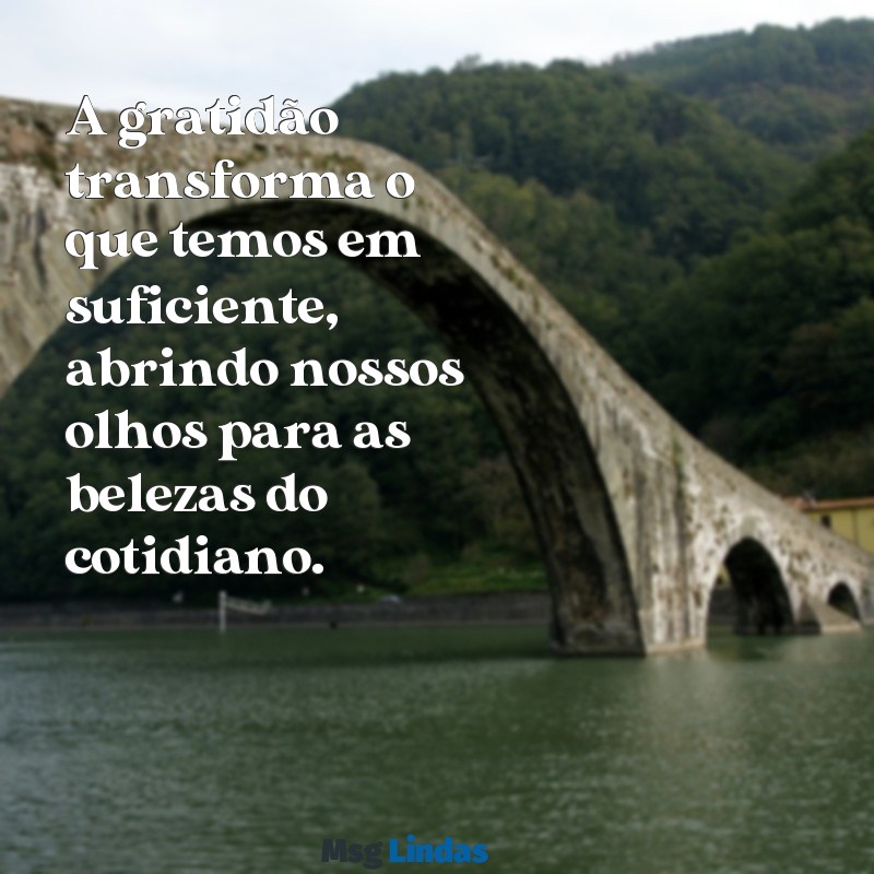 reflexão sobre gratidão A gratidão transforma o que temos em suficiente, abrindo nossos olhos para as belezas do cotidiano.