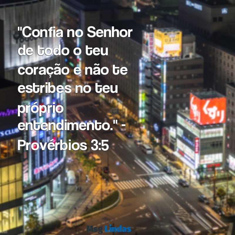 frases bíblica do dia "Confia no Senhor de todo o teu coração e não te estribes no teu próprio entendimento." - Provérbios 3:5