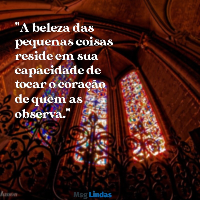 frases bonita "A beleza das pequenas coisas reside em sua capacidade de tocar o coração de quem as observa."