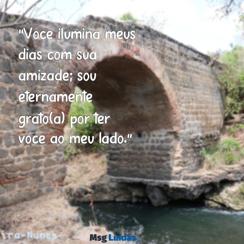 mensagens de carinho para uma pessoa especial, amiga "Você ilumina meus dias com sua amizade; sou eternamente grato(a) por ter você ao meu lado."