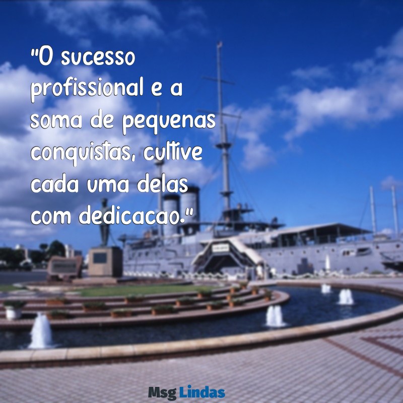 mensagens de evolução profissional "O sucesso profissional é a soma de pequenas conquistas, cultive cada uma delas com dedicação."