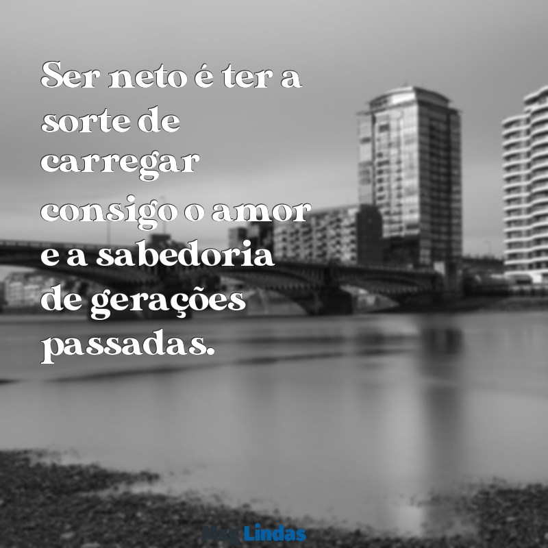 mensagens neto Ser neto é ter a sorte de carregar consigo o amor e a sabedoria de gerações passadas.