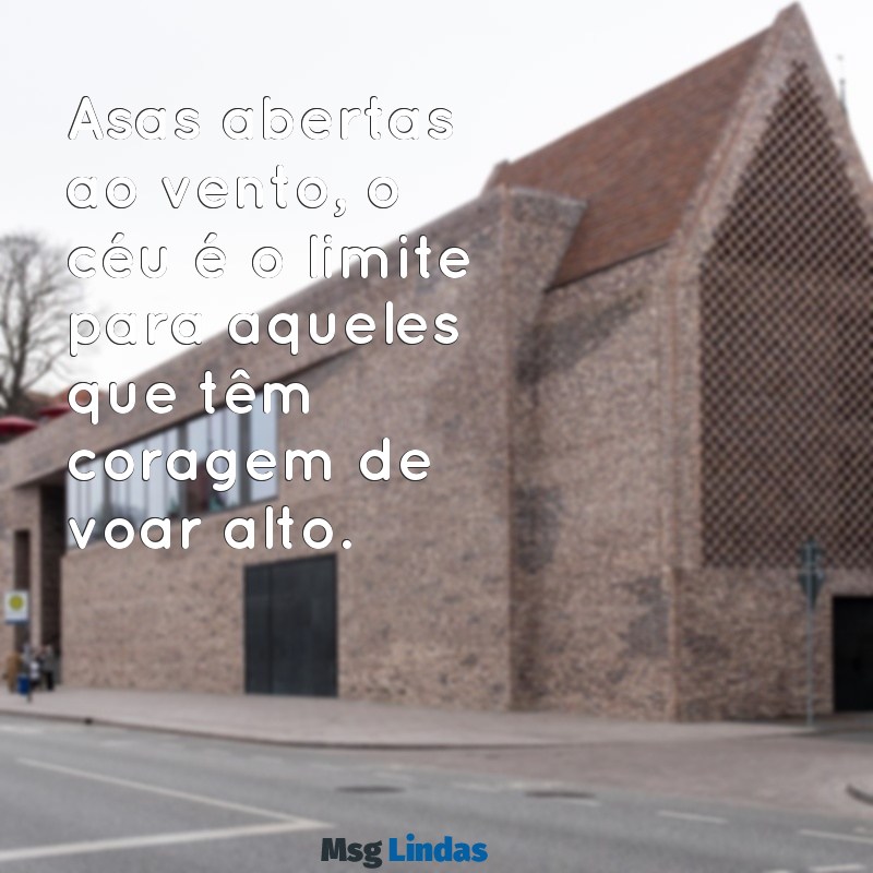 mensagens de voar alto Asas abertas ao vento, o céu é o limite para aqueles que têm coragem de voar alto.