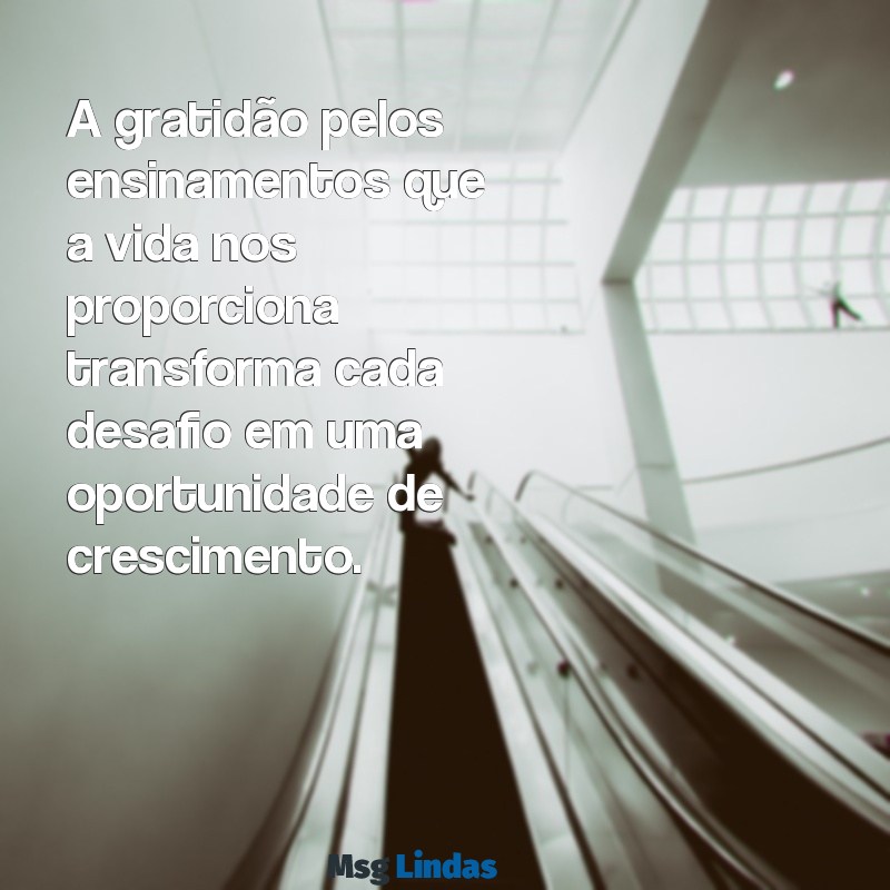 gratidão pelos ensinamentos A gratidão pelos ensinamentos que a vida nos proporciona transforma cada desafio em uma oportunidade de crescimento.