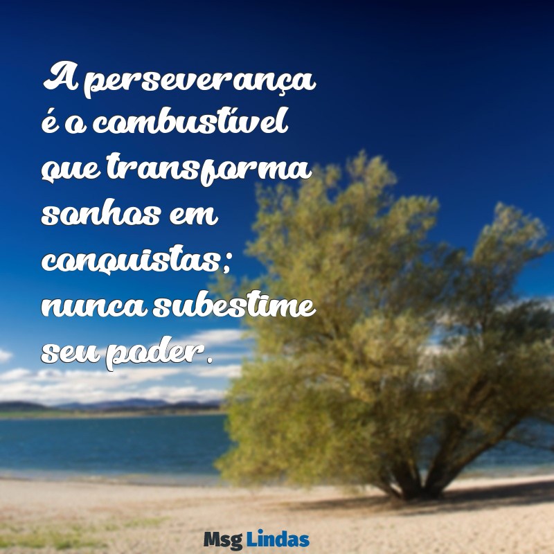 mensagens de perseveranca A perseverança é o combustível que transforma sonhos em conquistas; nunca subestime seu poder.