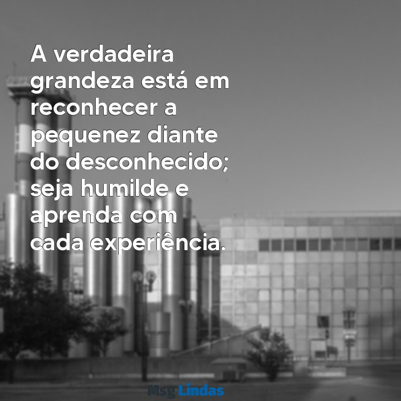 mensagens seja humilde A verdadeira grandeza está em reconhecer a pequenez diante do desconhecido; seja humilde e aprenda com cada experiência.